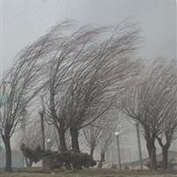 نوازندگی دیشب باد، خواب را از چشم ایلام گرفت