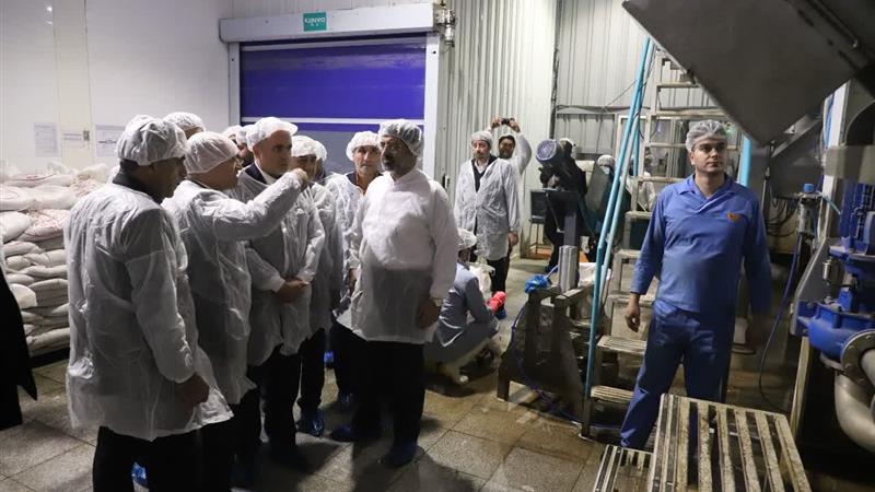 وزیر جهاد کشاورزی از خط تولید چیپس در شهرک صنعتی شکوهیه قم بازدید کرد