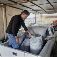 کشف ۴۶۰۰ کیلوگرم هیزم قاچاق در کهگیلویه و بویراحمد