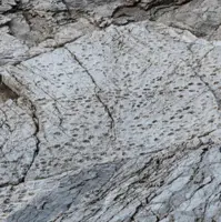 کشف ردپای دایناسورها در نزدیکی محل برگزاری المپیک زمستانی