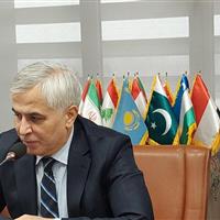 ایران نقش مهمی در تقویت امنیت غذایی کشورهای اسلامی دارد