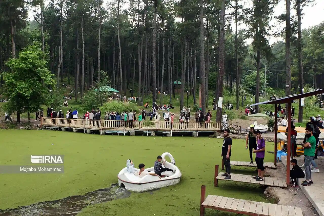 ۱۰ پارک جدید به مجموعه پارکهای جنگلی شمال کشور اضافه شد