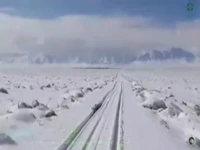 آهوها زیر برف تنها نماندند