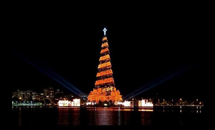 درخت کریسمس مکزیکیها سوخت