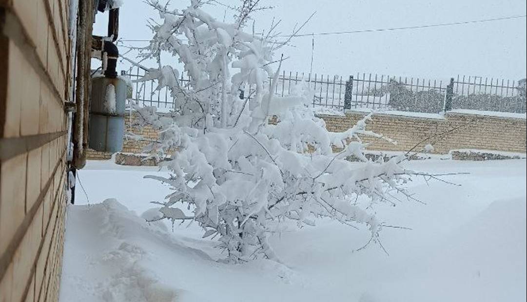 مدارس ۹ شهرستان آذربایجانغربی غیرحضوری شد