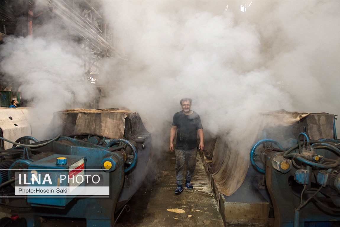 عکس/تولید شکر از چغندر قند