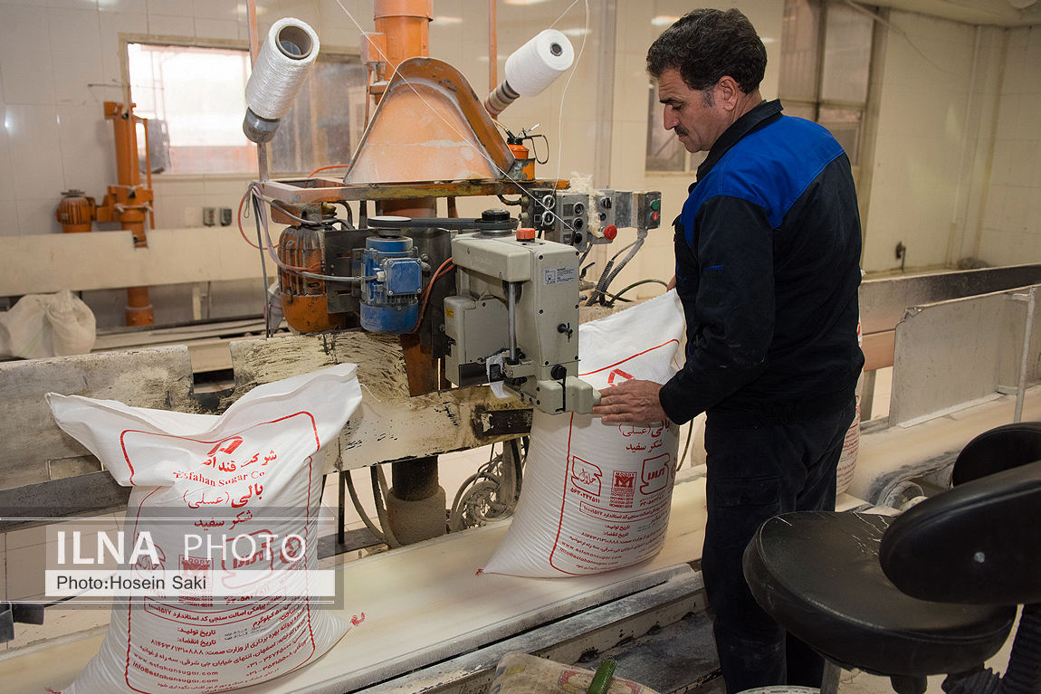 عکس/تولید شکر از چغندر قند