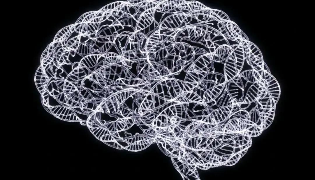 یافته مطالعهای گسترده: اختلالات روانی مختلف ریشه ژنتیکی مشترک دارند