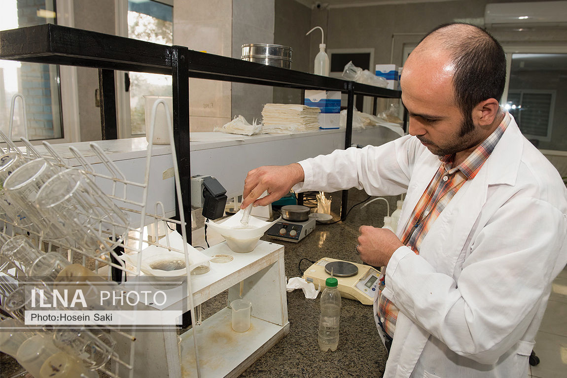 عکس/تولید شکر از چغندر قند