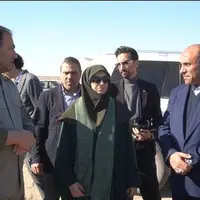 بازدید رئیس سازمان محیط زیست از تصفیهخانه چرمشهر و پیگیری احیای تالاب بندعلیخان