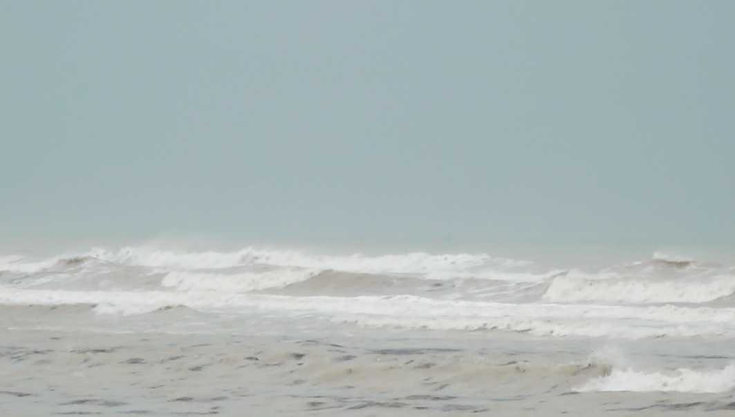 پیشبینی بارش پراکنده باران و کاهش دما برای بوشهر