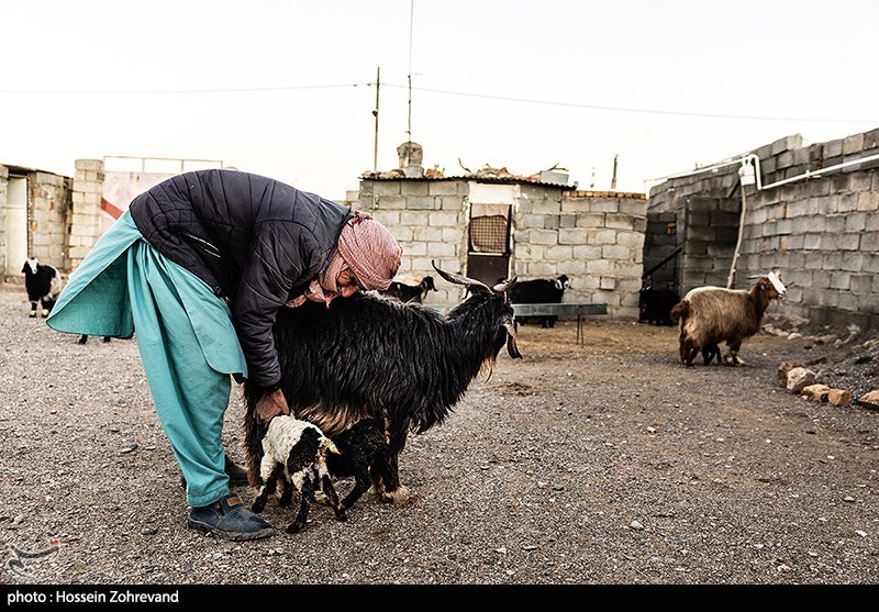 تور نظارتی قوه قضائیه در نقطه صفر مرزی