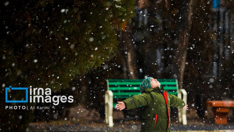 بارش برف، مدارس زنجان را غیرحضوری کرد