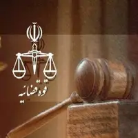 بازداشت مدیرعامل سابق موسسه ملل تایید شد