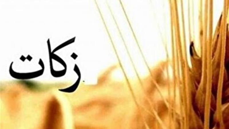 رشد ۳۱ درصدی پرداخت زکات در کردستان