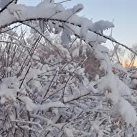 سرچشمه اسفراین با منفی ۱۶ سردترین نقطه در خراسان شمالی