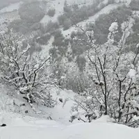 ثبت سردترین شب سال استان تهران در فیروزکوه