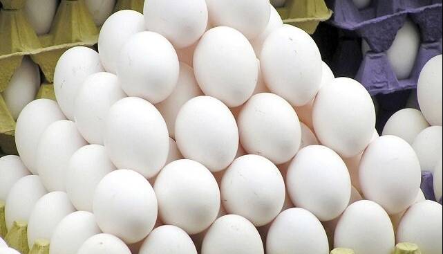 مصرف زرده خام تخممرغ برای گلودرد؛ توصیهای بدون پشتوانه علمی