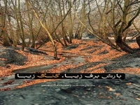 حال هوای برفی روستای کنگ