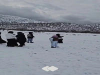 برف‌بازی مردم در ارتفاعات سرپل‌ذهاب