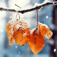 برف و باران در راه خراسان رضوی