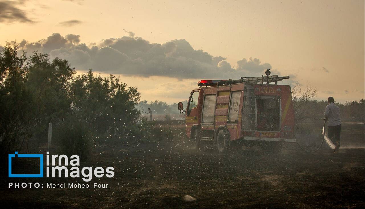 آتشسوزی در تالاب میانکاله خاموش شد