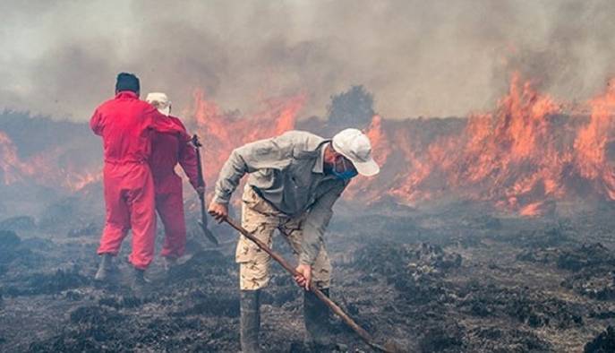 اطفای حریق پناهگاه حیاتوحش میانکاله