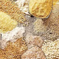 مرغ هست، نهاده نیست؛ آمارها چرا محرمانهاند؟