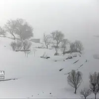 صدور هشدار سطح زرد هواشناسی در فارس