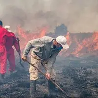 اطفای حریق پناهگاه حیاتوحش میانکاله