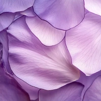 رنگ بنفش از نظر روانشناسی به چه معناست؟