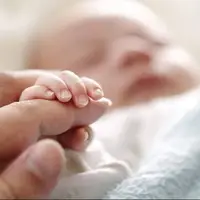 برای باروری ماهی بخورید!