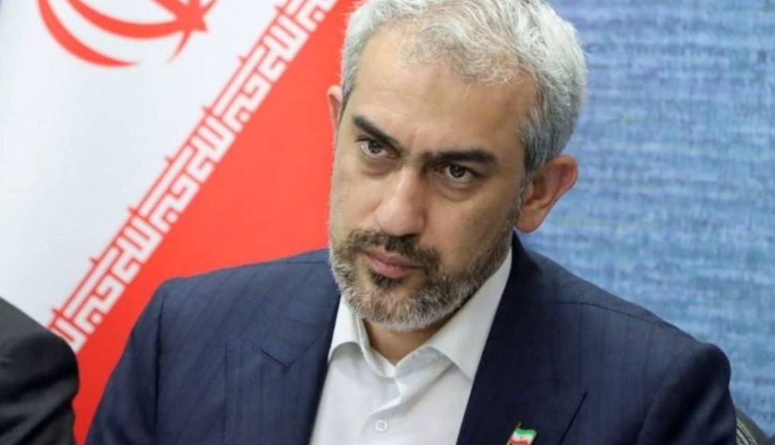 مدنیزاده: مردم میان اعتبار نقدی و سبد کالا حق انتخاب دارند