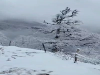 صبح برفی جنگلهای اسالم به خلخال گیلان