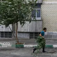 وزش باد گرم در گیلان تا اواخر هفته