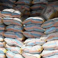 حدود ۲۳۰ تن برنج احتکاری در هرمزگان کشف شد