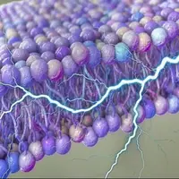 کشف یک منبع پنهان انرژی در سلولهای انسان