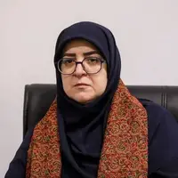 اظهارات مهاجرانی از جزئیات طرح کالابرگ: زمان استفاده از اعتبار اعلام شد