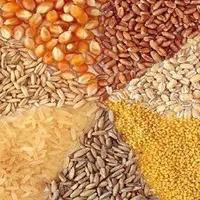 قیمت جدید نهادهها اعلام شد