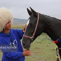 تهدید نژاد اسب اصیل ترکمن؛ وقتی پای جایزههای میلیونی در میان است!