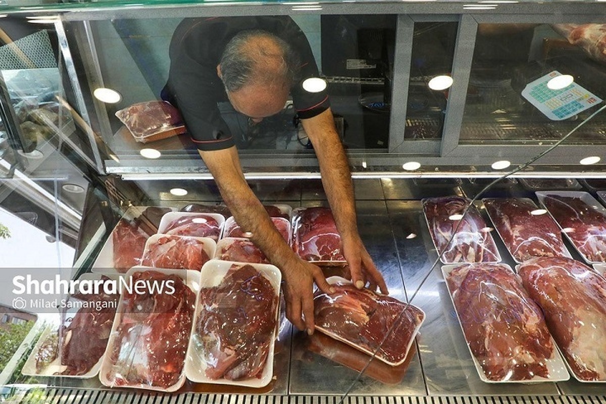 کاهش قیمت گوشت در خراسان رضوی ظرف ۷ تا ۱۰ روز آینده