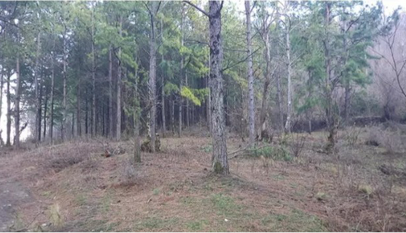 ۲۰۰۰ مترمربع از اراضی ناهارخوران رفع تصرف شد