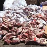 35 تن انواع فرآوردههای دامی غیرمجاز در استان کرمان معدوم شد