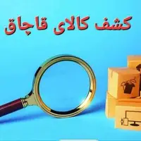 توقیف محموله استارت خودرو در بندرعباس