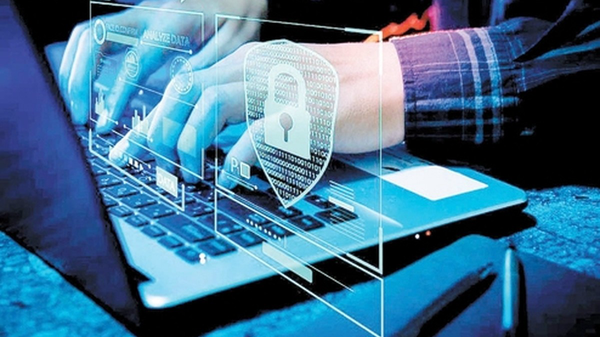 انهدام باند سازمانیافته فیشینگ در بوشهر