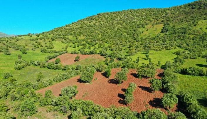 شناسایی بیش از ۲ هزار مورد تغییر کاربری غیرمجاز در استان قزوین