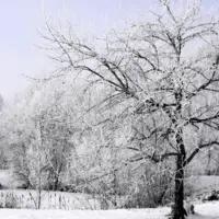 سپیدان رکورددار بارش برف و باران در فارس