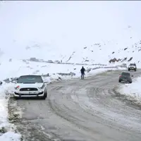 عامل اصلی شهادت یک بسیجی در بروجرد دستگیر شد