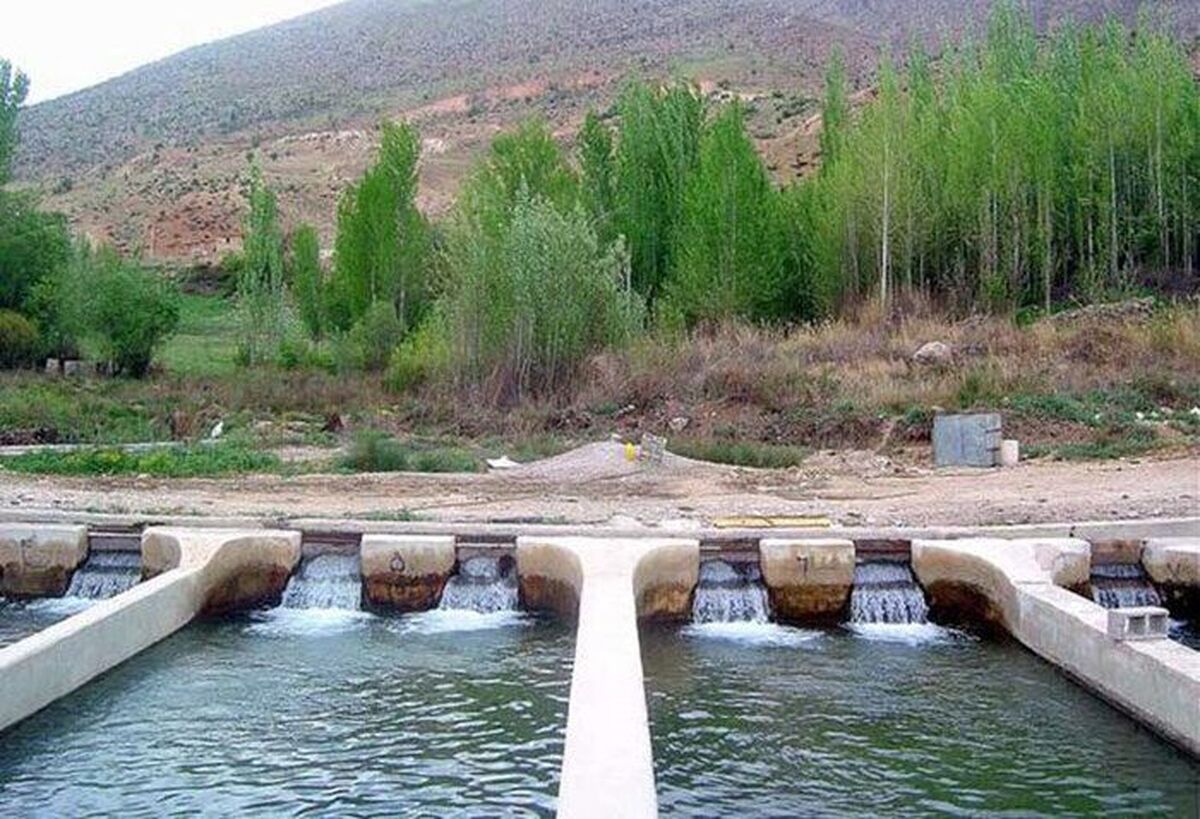 صادرات ۲۲۵۰ تن خوراک ماهی از کهگیلویه و بویراحمد به خارج از کشور