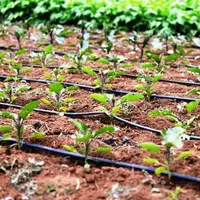 بهرهبرداری از سرمایهگذاری جدید به ارزش ۱۲۰۰ میلیارد ریال در بخش کشاورزی مازندران